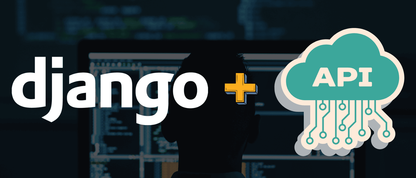 Django REST Framework API Development Guide for Business Applications
