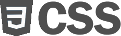 CSS Logo